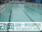 北京金世纪游泳馆预订