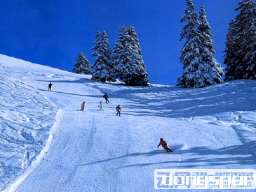 null昌平雪世界滑雪场预订