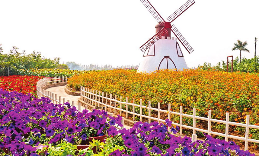 番禺百万葵园(番禺百万葵园好玩吗)